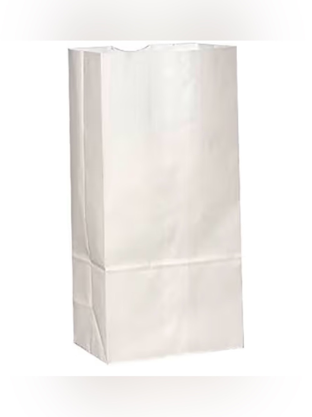 During 500 Count Plain White Paper Lunch Bags